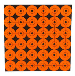 B/C TARGET SPOTS 360-1"