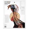 CHAMPION TURKEY TRGT LIFESIZE 12PK 1 | Utah Fast