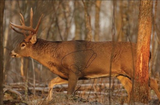 Birchwood Casey Eze-Scorer Targets Whitetail Deer Target 23"x35" 2/Pack
