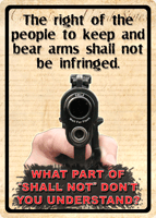 RIVERS EDGE SIGN "THE RIGHT TO - KEEP AND BEAR ARMS.." 12"x17"