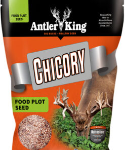 ANTLER KING CHICORY 1# BAG - PERENNIAL 1/4 ACRE