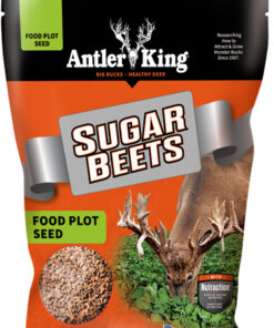 ANTLER KING SUGAR BEETS 1# BAG - ANNUAL 1/8 ACRE