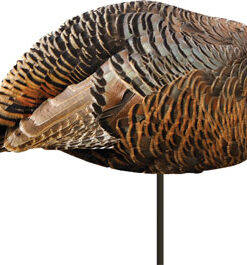 MONTANA DECOY TURKEY HEN - DINNER BELLE