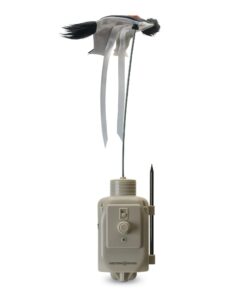 HME Western Rivers Mantis Pro Decoy
