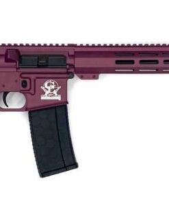 GREAT LAKES FIREARMS GL-15 RIA 223 WYLDE 16IN BBL ORC  BLACK CHERRY/NITRIDE 30RD MAG