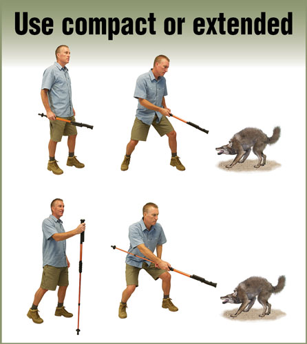 PSP ZAP STUN GUN HIKE N STRIKE - ADJ 29-56" 950000 VOLTS 5 PSP ZAP STUN GUN HIKE N STRIKE - ADJ 29-56" 950000 VOLTS - Image 5