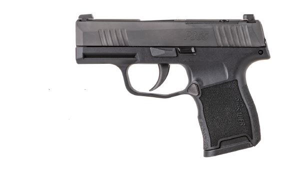 SIG SAUER P365 380ACP BLK 10+1 NS