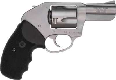 CHARTER ARMS BULLDOG ON DUTY