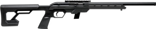 SAVAGE 64 PRECISION 22LR 10RD