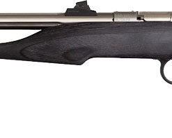 CHIPMUNK PISTOL HUNTER 22LR
