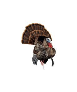 Avian-X HDR Strutter