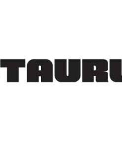 TAURUS TX22G2 22LR BLK/FDE SPL 10+1