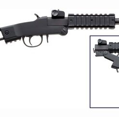 CHIAPPA LITTLE BADGER 17HMR