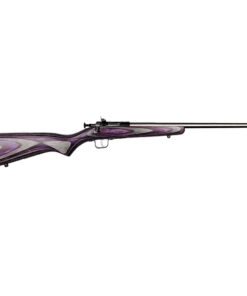 KEYSTONE SPORTING ARMS CRICKETT 22LR SS/PURPLE LAM