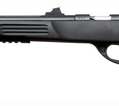CRICKETT PISTOL 22WMR