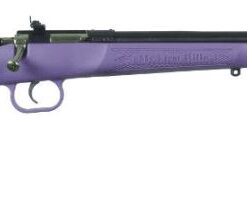 KEYSTONE SPORTING ARMS CRICKETT 22LR BL/PURPLE SYN