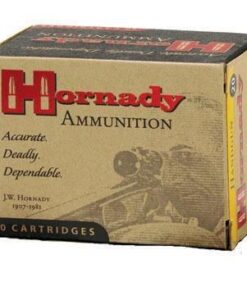Hornady Custom Handgun Ammunition .480 Ruger 325 gr XTP-Mag 1350 fps 20/box
