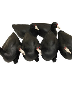 MOJO Coot Confidence Decoys 6 pk.