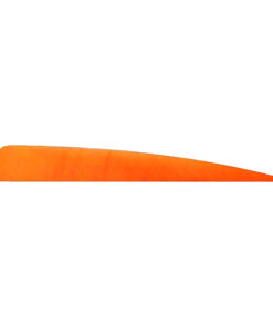 Trueflight Shield Cut Feathers Orange 4 in. RW 100 pk.