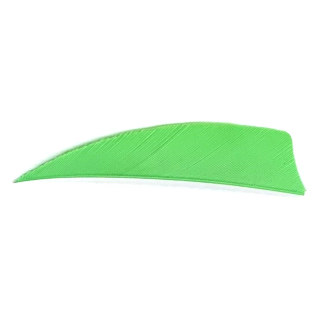 Trueflight Shield Cut Feathers Chartreuse 3 in. RW 100 pk. 1 Trueflight Shield Cut Feathers Chartreuse 3 in. RW 100 pk.