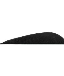 Trueflight Parabolic Feathers Black 3 in. RW 100 pk.