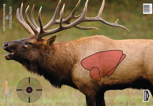 B/C TARGET PREGAME 16.5"X24" - ELK TARGET 3-TARGETS 1 B/C TARGET PREGAME 16.5"X24" - ELK TARGET 3-TARGETS