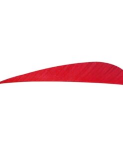 Trueflight Parabolic Feathers Red 4 in. LW 100 pk.