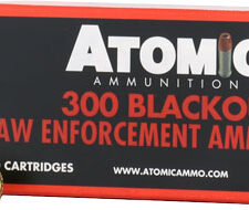 ATOMIC 300 AAC 110GR - VARMAGEDDON 20RD 10BX/CS
