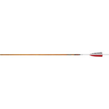 Home 25 Easton Carbon Legacy Arrows 340 4 in. Feathers 6 pk.
