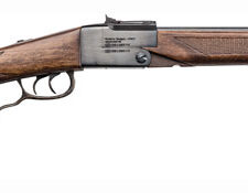 CHIAPPA DOUBLE BADGER O/U - 22WMR & 410 BLUED WOOD
