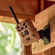 Home 27 Moultrie Edge 3 Cellular Trail Camera 2 pk.