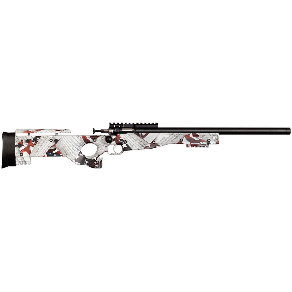 Keystone Crickett Precision Rifle 22 LR Blued/2nd Amendment Print 1 Keystone Crickett Precision Rifle 22 LR Blued/2nd Amendment Print