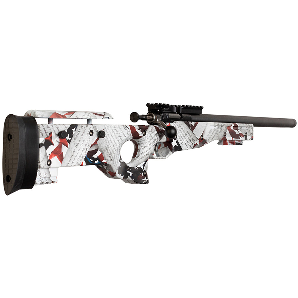 Keystone Crickett Precision Rifle 22 LR Blued/2nd Amendment Print 2 Keystone Crickett Precision Rifle 22 LR Blued/2nd Amendment Print - Image 2