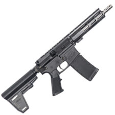 223WYLDE PSTL W/BRC SS 30R BLK