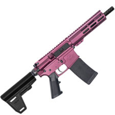 223WYLDE PSTL W/BRC 30RD CHY