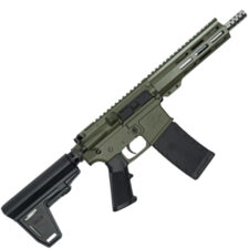 223WYLDE PSTL W/BRC SS 30R ODG