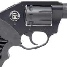 Home 23 CHT WALKER 22LR DAO REV 2B BLK