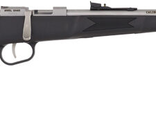 Home 30 HENRY H5 MINI BOLT YOUTH 22LR - GEN 2 16.25" SS/SYNTHETIC