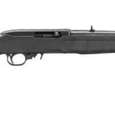 RUG 10/22 22LR 16 TB BLK