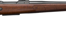 Home 25 CZ 600 PLUS AMERICAN 223 REM - 24" BLACK WALNUT STOCK