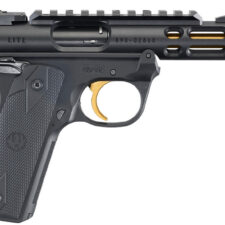 Home 25 RUG MKIV 2245 LT 22LR 4.4TB B