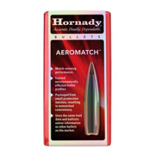 HRNDY AM 6MM .243 105GR HHB 100CT