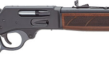 HENRY H10 PROTECTOR CARBINE - 45-70 PG 16.5" BLUED WALNUT
