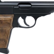 Home 29 WAI PP 32AP PST B TB WAL 8RD