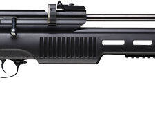 BEEMAN 1085-22 II CO2 .22 - PELLET AIR RIFLE 10 SHOT