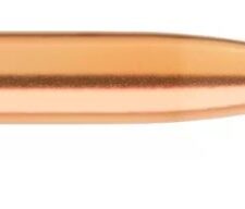 SIERRA BULLETS .22CAL .224 - 69GR TIPPED GAME KING 100CT