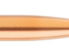 SIERRA BULLETS 6MM .243 - 107GR TIPPED MATCH KING 100CT