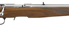 Home 25 RUGER AMERICAN 22WMR 9-SHOT - 22" STAINLESS WALNUT (TALO)