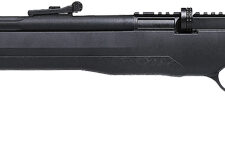 JTS AIRSTRYKE PCP .22 CAL - 2-10RD MAGS BLACK