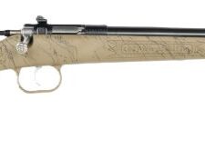 CRICKETT RIFLE G2 22LR TAN - SYNTHETIC/GOLD WEB BLUED